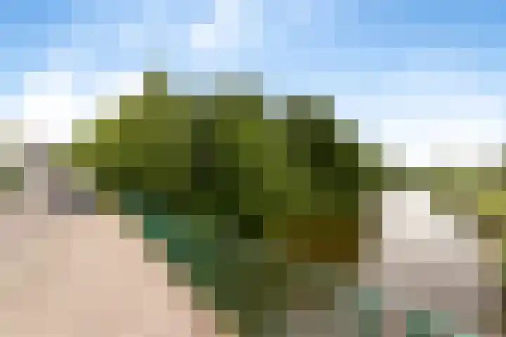 Duivelsbruglaan 20 Breda thumbnail 42