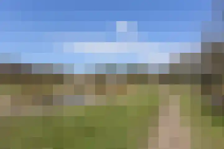 Duivelsbruglaan 20 Breda thumbnail 44
