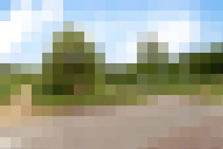 Duivelsbruglaan 20 Breda thumbnail 45