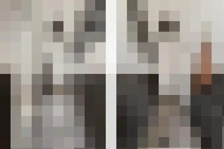 Duivelsbruglaan 20 Breda thumbnail 5