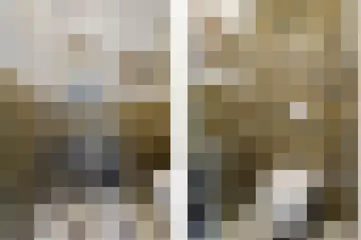 Duivelsbruglaan 20 Breda thumbnail 6