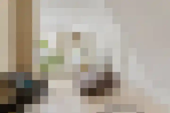 Duivelsbruglaan 20 Breda thumbnail 7