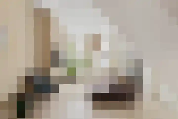 Duivelsbruglaan 20 Breda thumbnail 9
