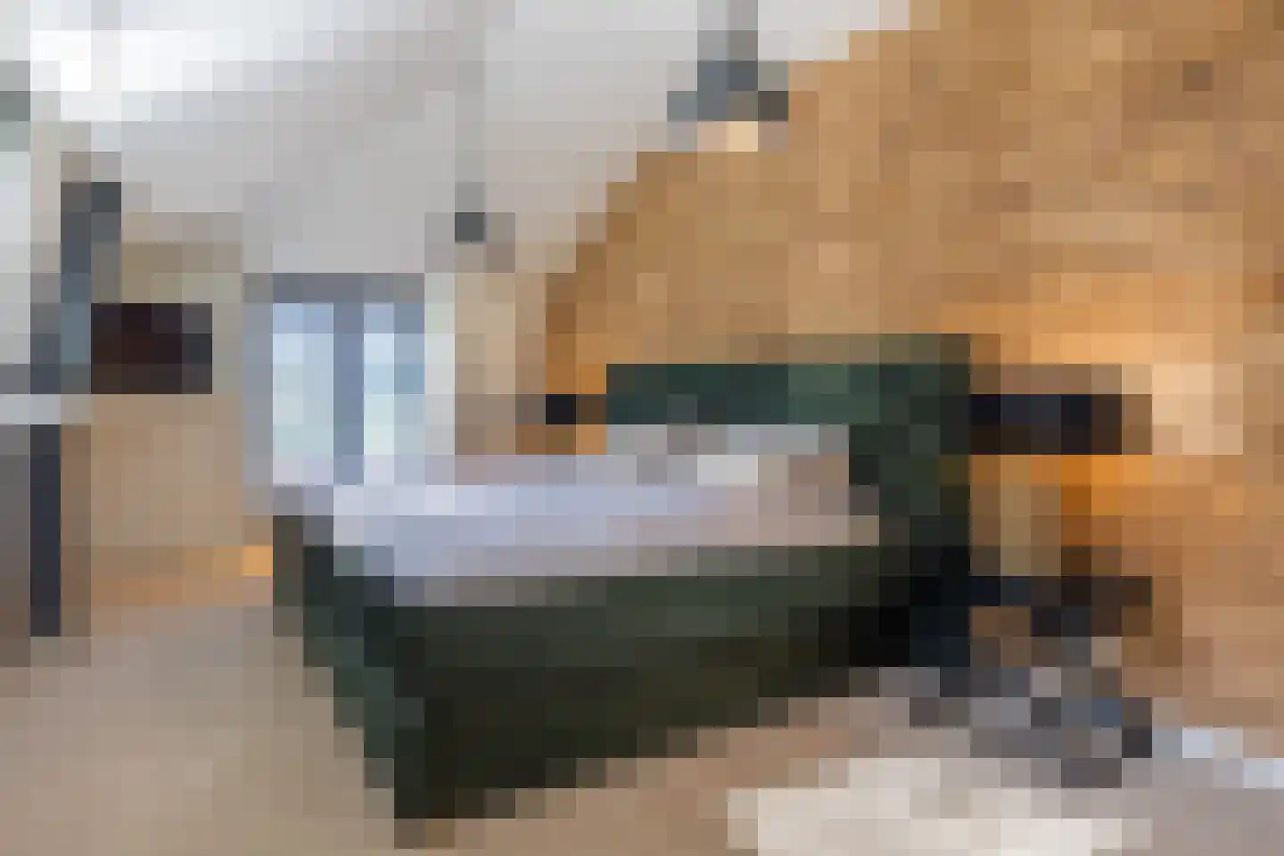 Duivelsdijk 25 Oldenzaal thumbnail 32