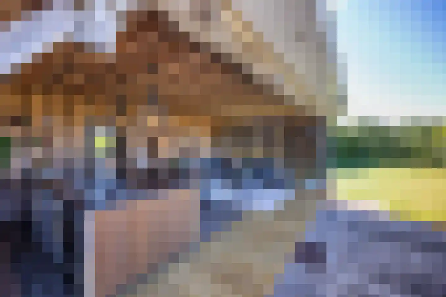 Duivelsdijk 25 Oldenzaal thumbnail 4