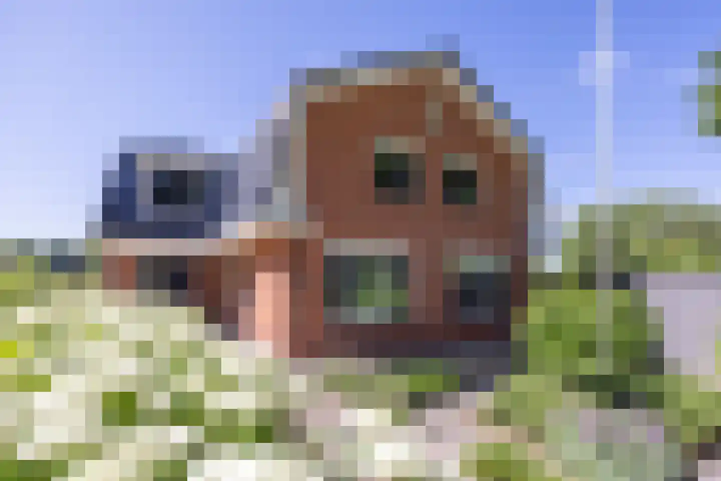 Duivelsdijk 25 Oldenzaal thumbnail 8