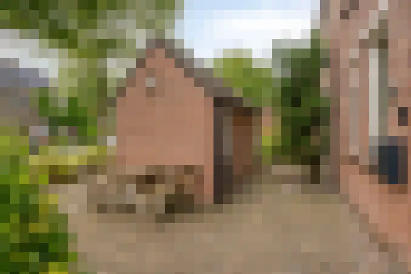 Duivelshofhoek 28 Enschede thumbnail 37