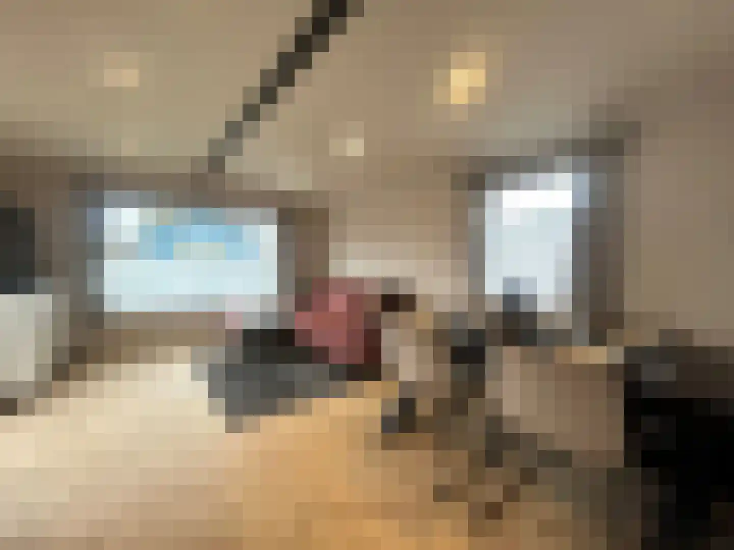 Duivenbosweg 2 Overloon thumbnail 11