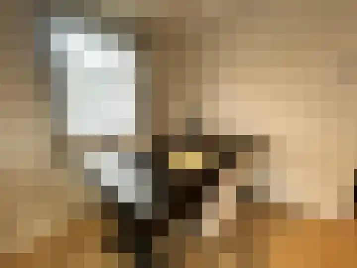 Duivenbosweg 2 Overloon thumbnail 13