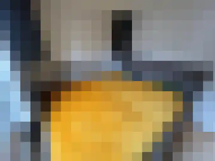 Duivenbosweg 2 Overloon thumbnail 16