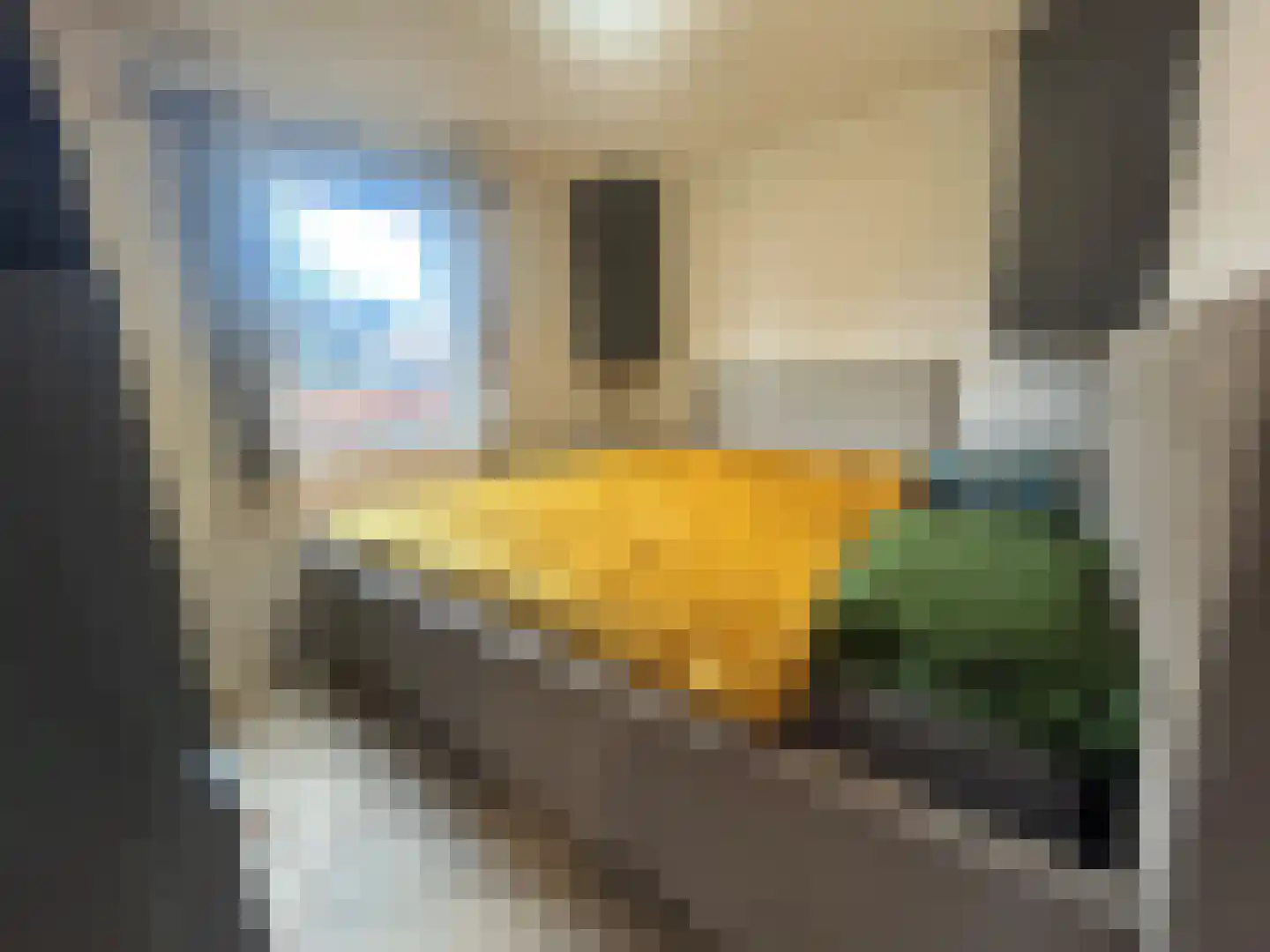 Duivenbosweg 2 Overloon thumbnail 17