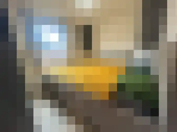 Duivenbosweg 2 Overloon thumbnail 17