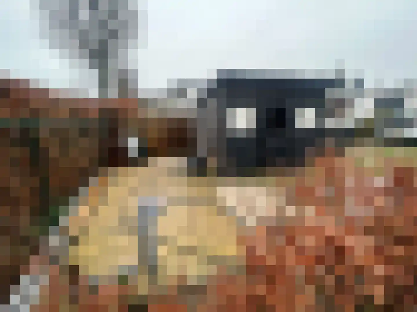 Duivenbosweg 2 Overloon thumbnail 6
