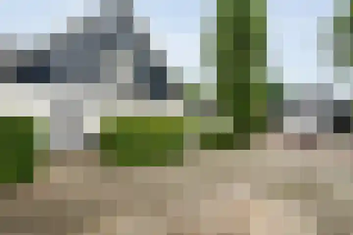 Duivenbreeweg 12 b Nijverdal thumbnail 13