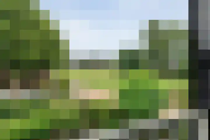 Duivenbreeweg 12 b Nijverdal thumbnail 34