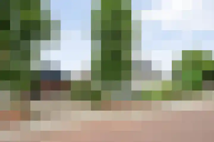 Duivenbreeweg 12 b Nijverdal thumbnail 5