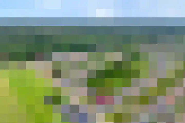 Duivenbreeweg 12 b Nijverdal thumbnail 8