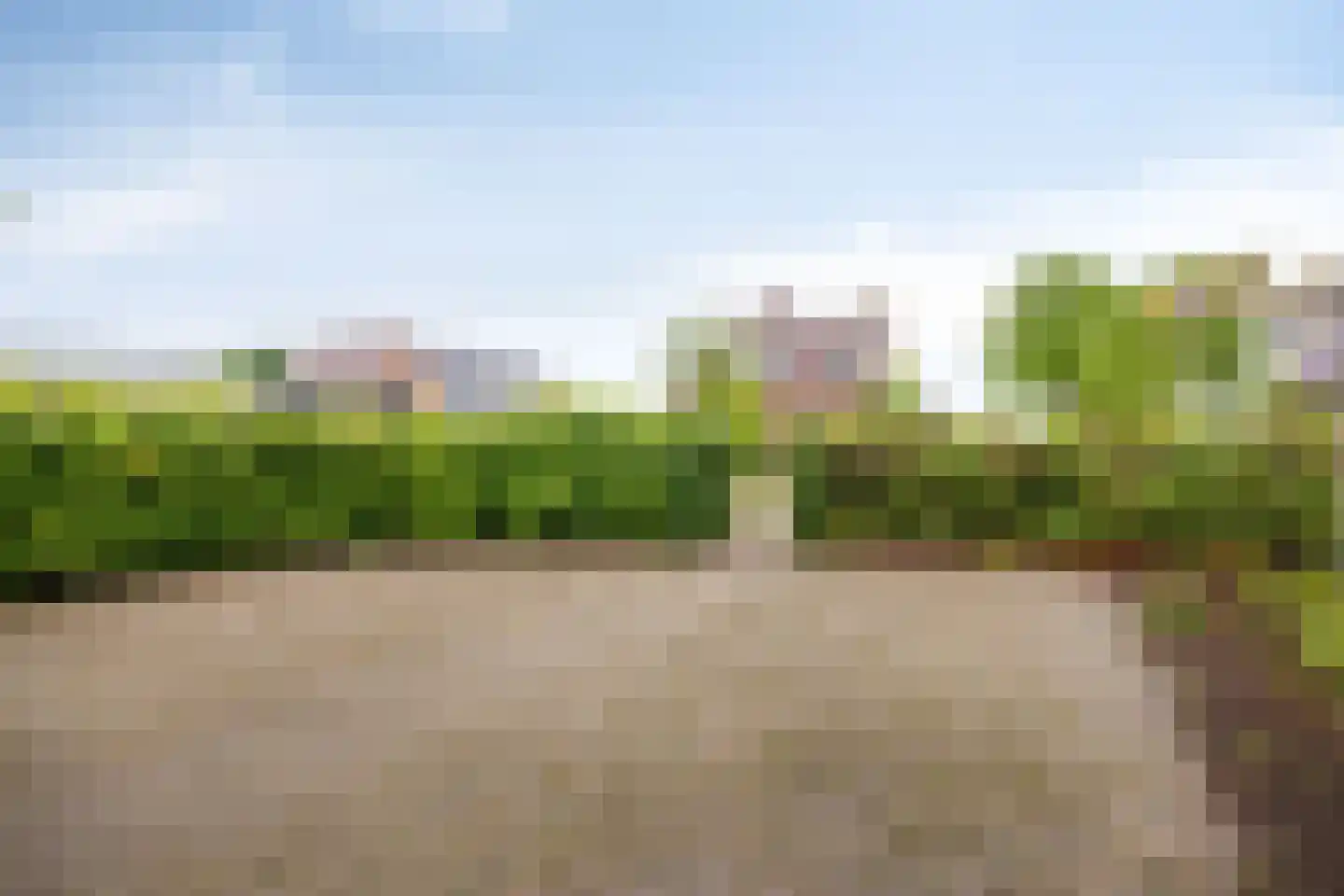 Duivendansweg 10 Wezep thumbnail 10