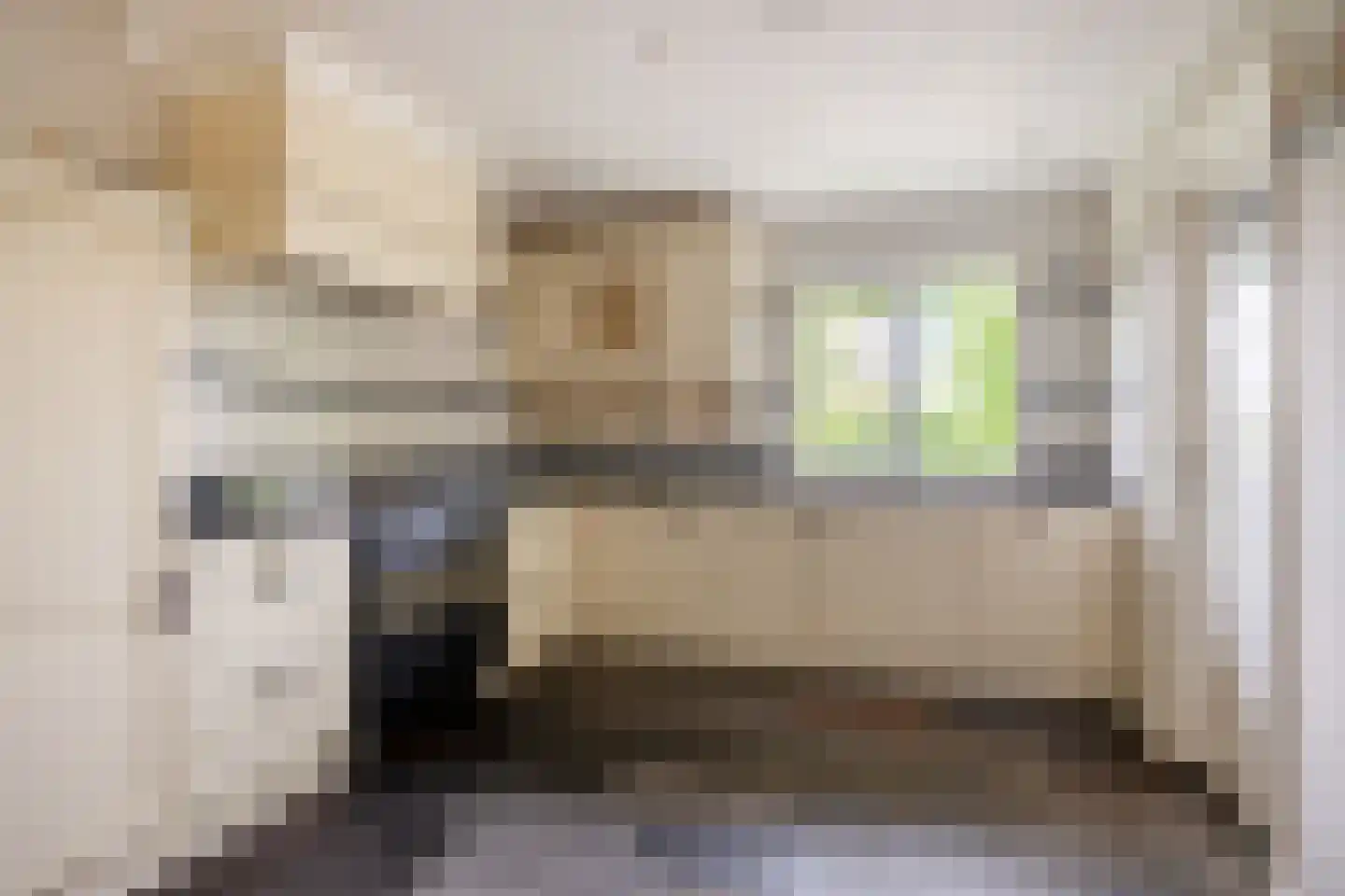 Duivendansweg 10 Wezep thumbnail 18