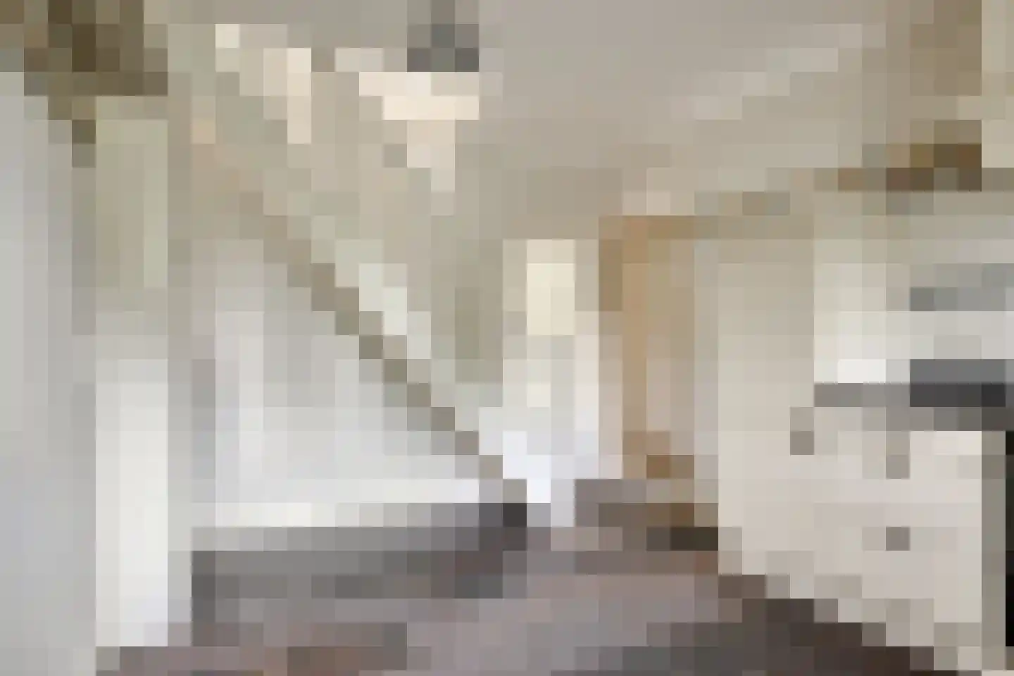 Duivendansweg 10 Wezep thumbnail 21