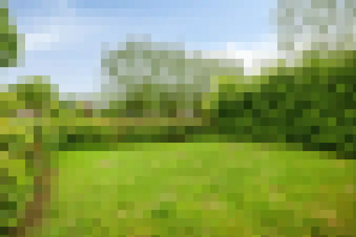 Duivendansweg 10 Wezep thumbnail 34