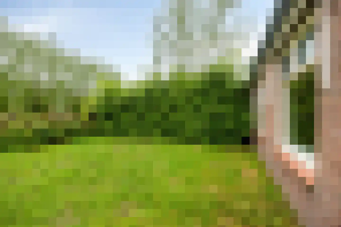 Duivendansweg 10 Wezep thumbnail 35