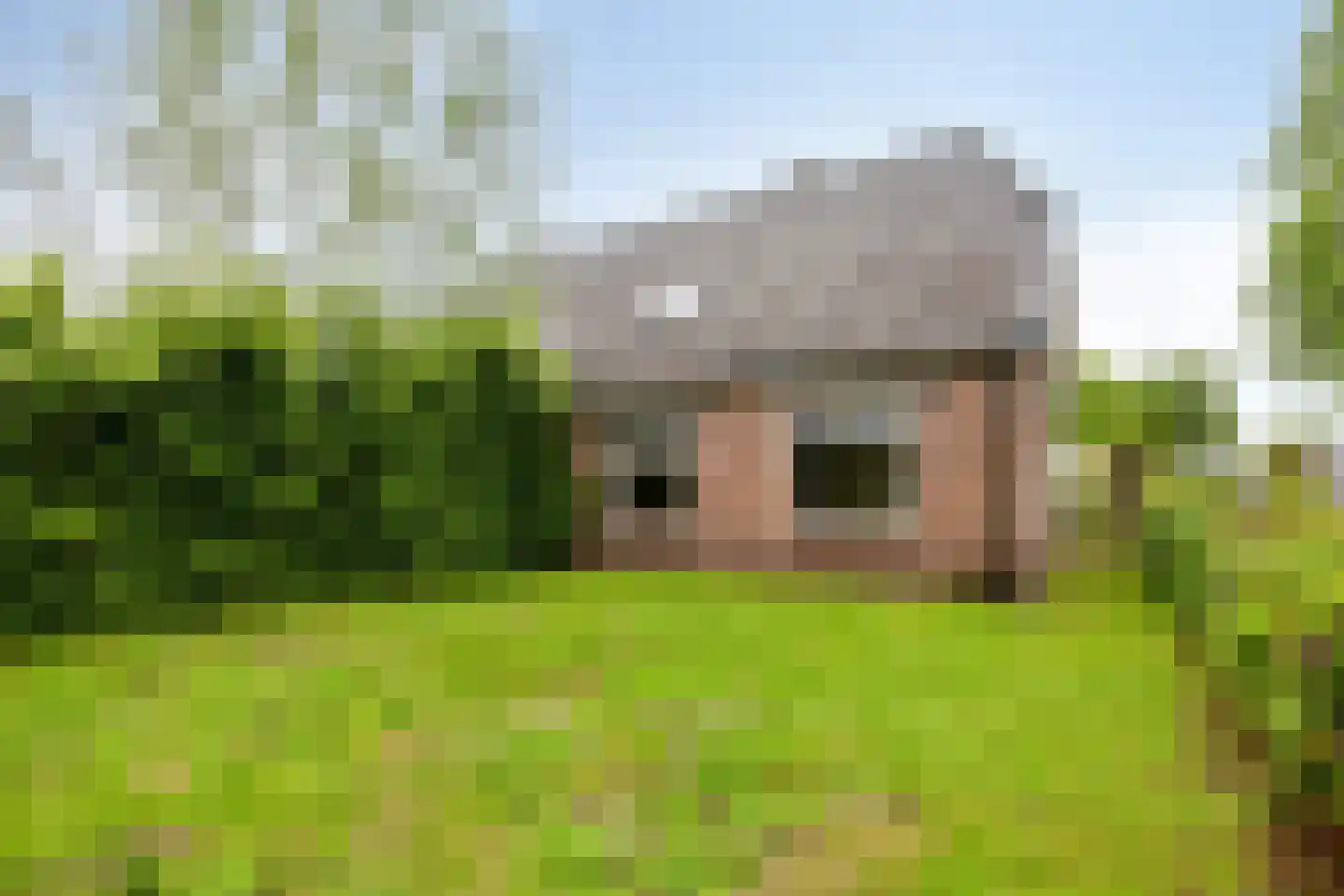 Duivendansweg 10 Wezep thumbnail 37