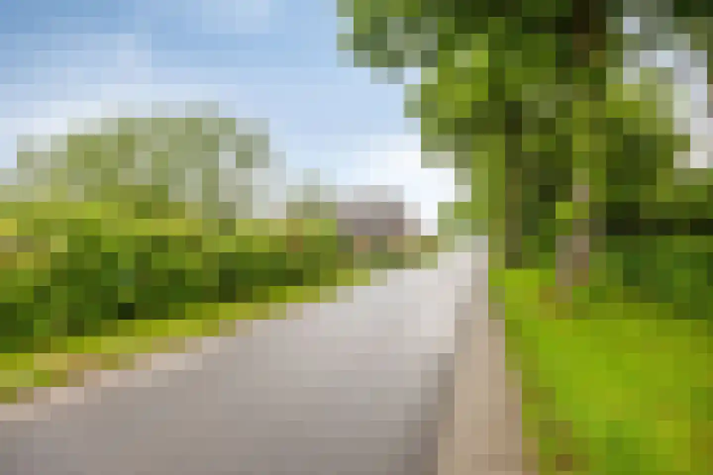 Duivendansweg 10 Wezep thumbnail 38