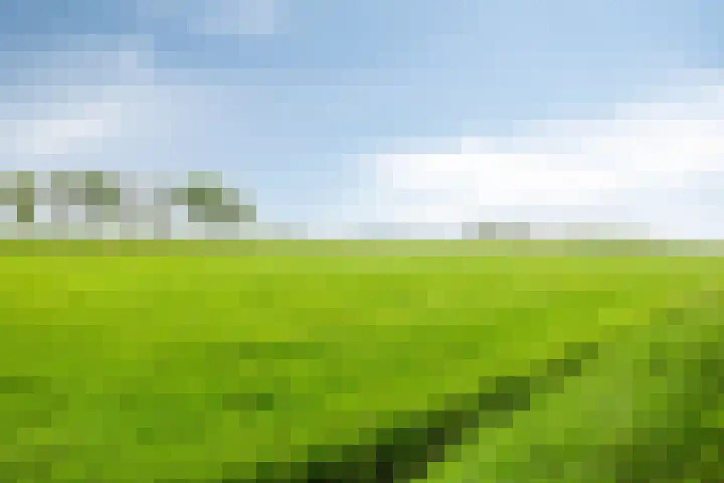 Duivendansweg 10 Wezep thumbnail 39