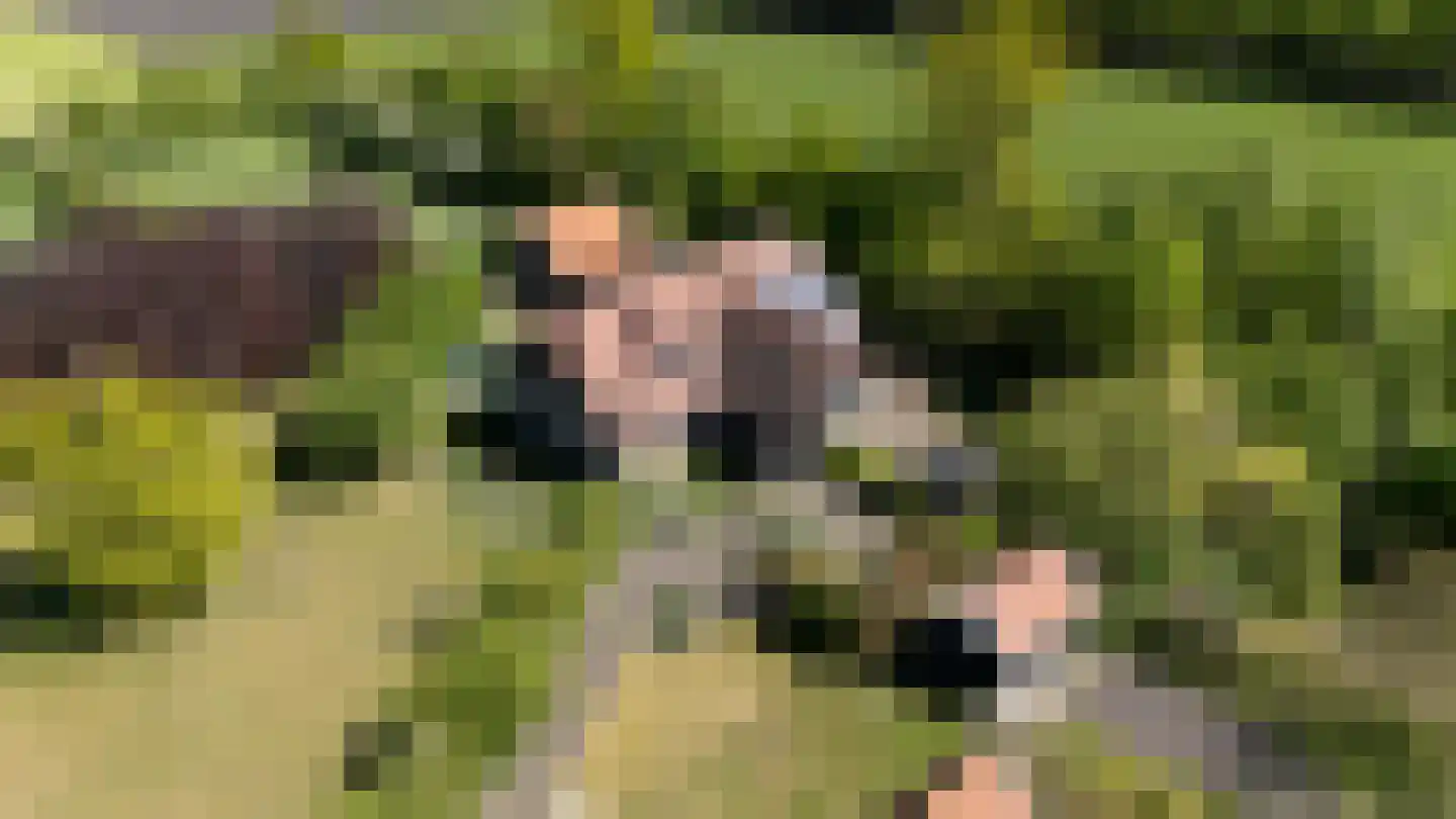 Duivendansweg 11 Wezep