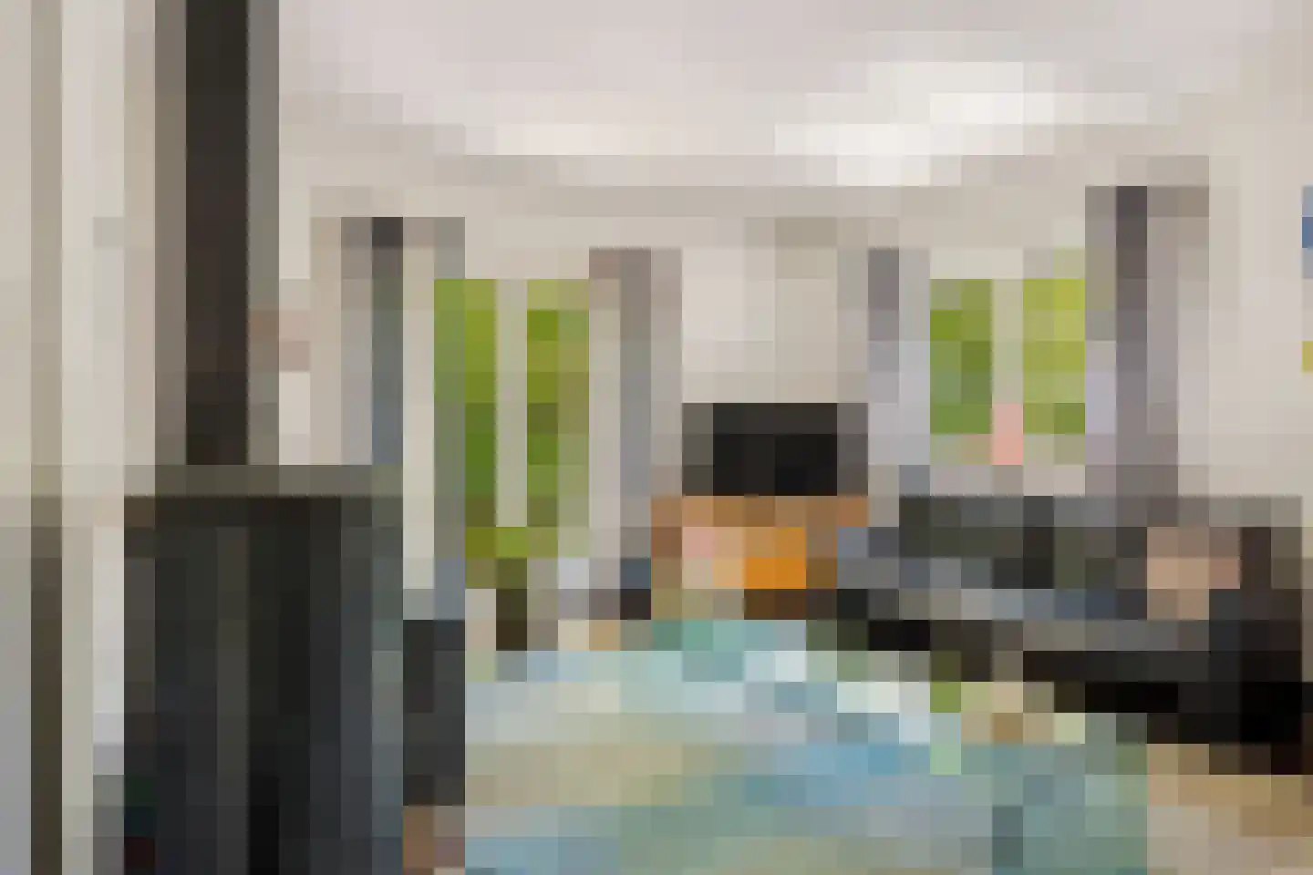 Duivendansweg 11 Wezep thumbnail 12
