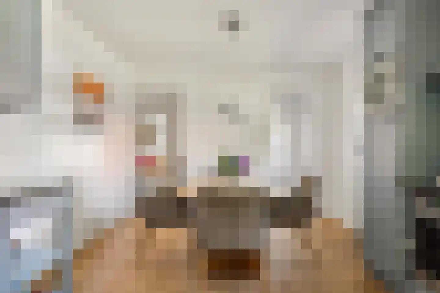 Duivendansweg 11 Wezep thumbnail 16