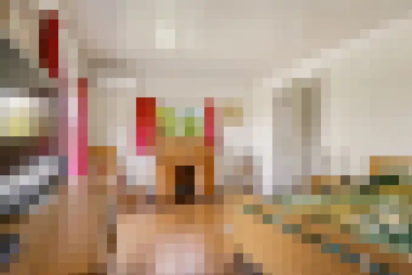 Duivendansweg 11 Wezep thumbnail 21
