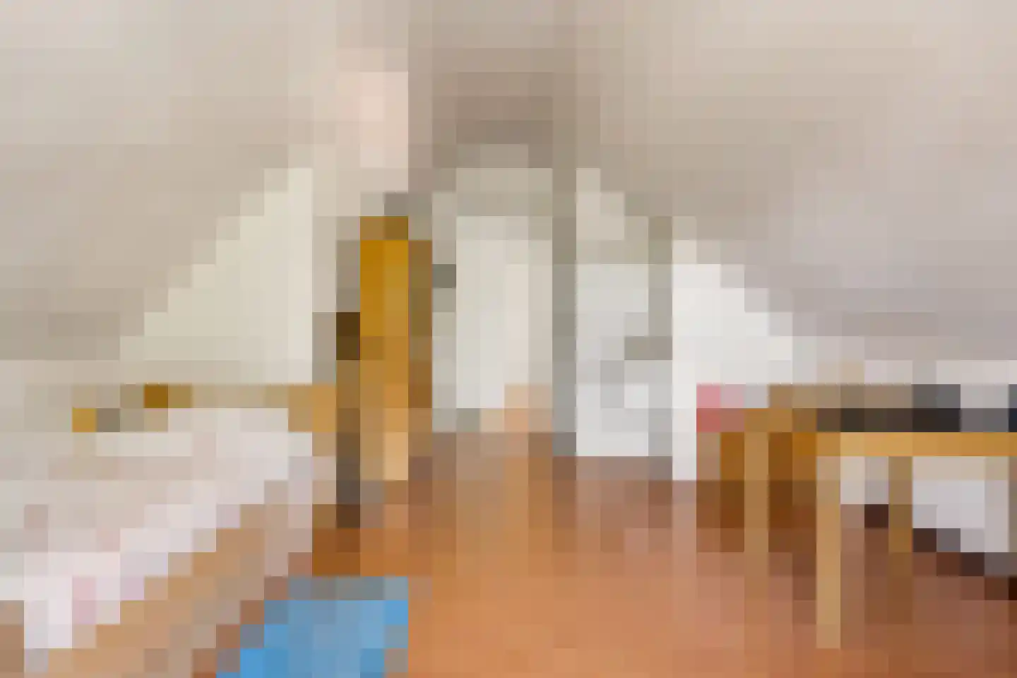 Duivendansweg 11 Wezep thumbnail 29