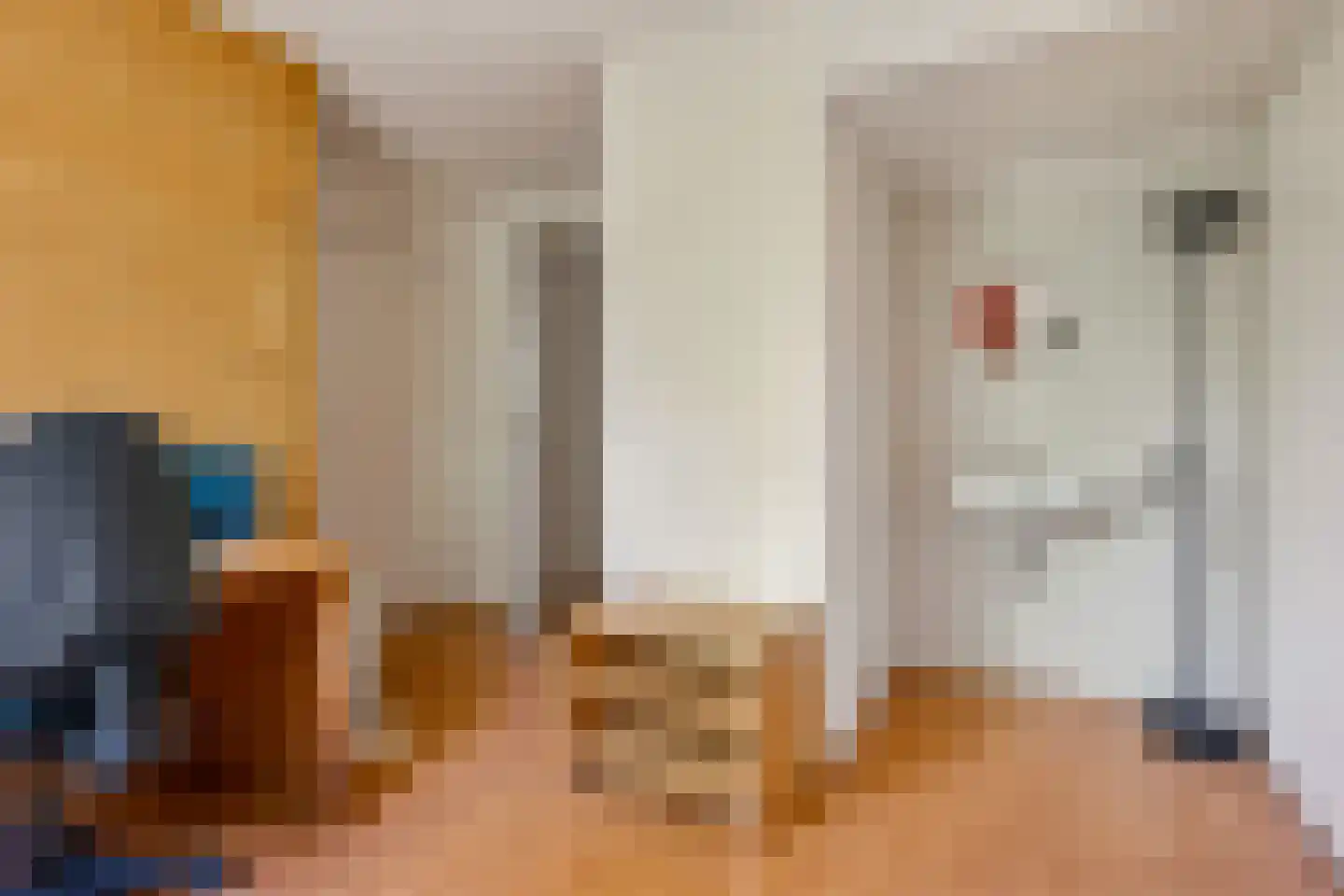 Duivendansweg 11 Wezep thumbnail 35