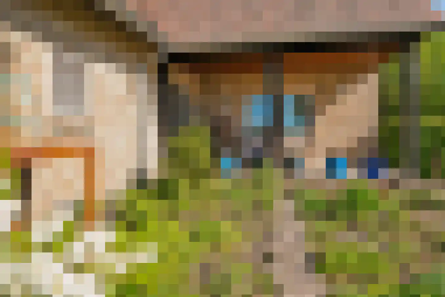 Duivendansweg 11 Wezep thumbnail 4