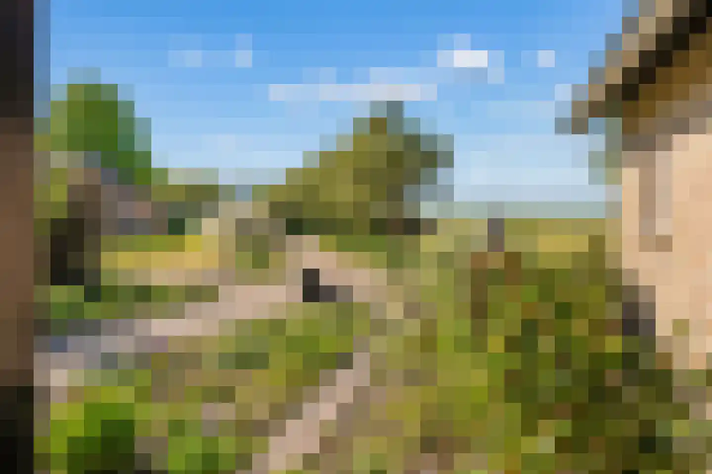 Duivendansweg 11 Wezep thumbnail 5