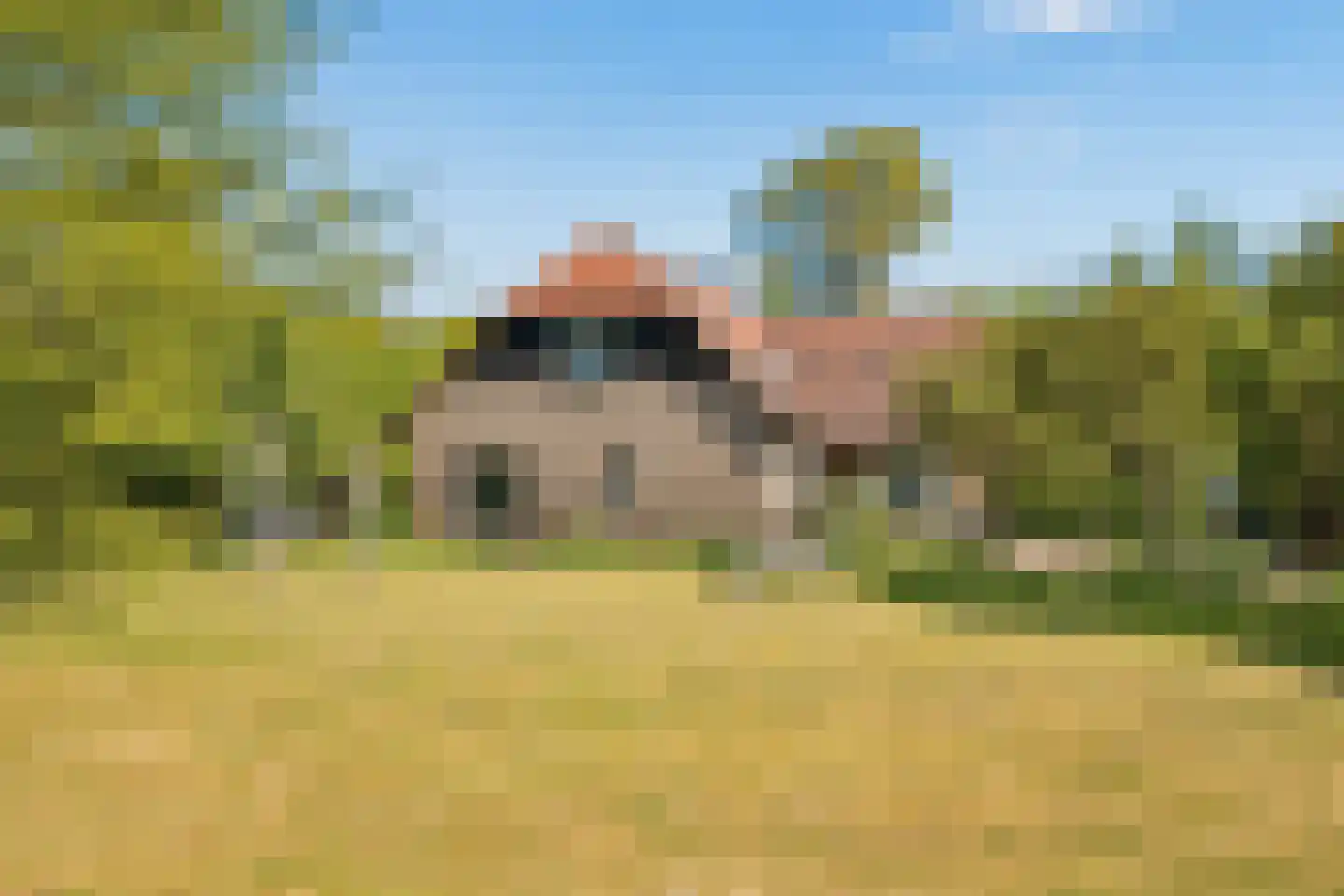 Duivendansweg 11 Wezep thumbnail 50