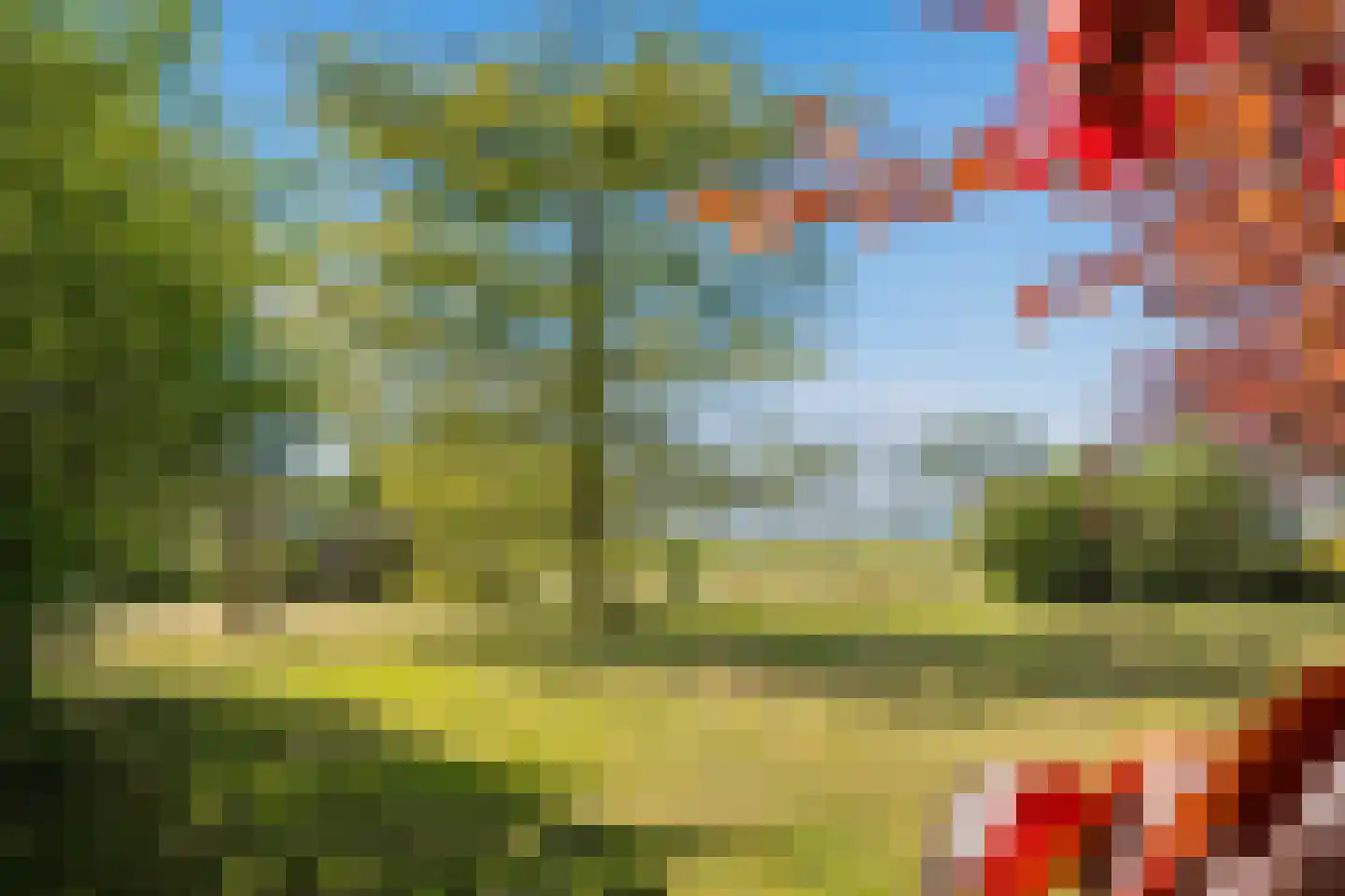 Duivendansweg 11 Wezep thumbnail 52