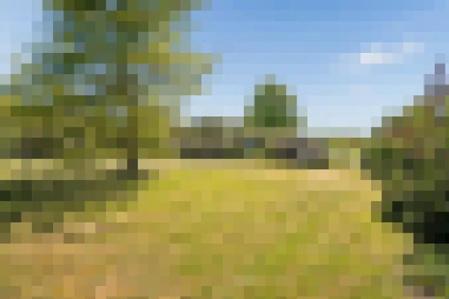 Duivendansweg 11 Wezep thumbnail 53