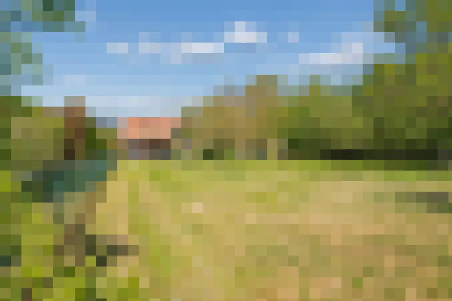 Duivendansweg 11 Wezep thumbnail 54