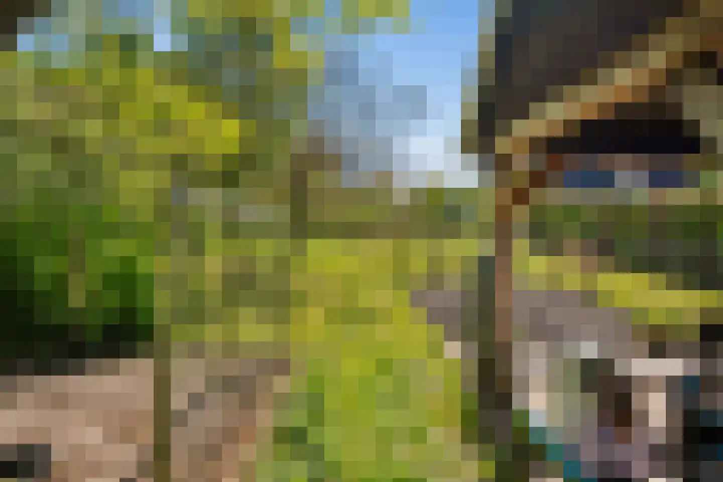 Duivendansweg 11 Wezep thumbnail 57