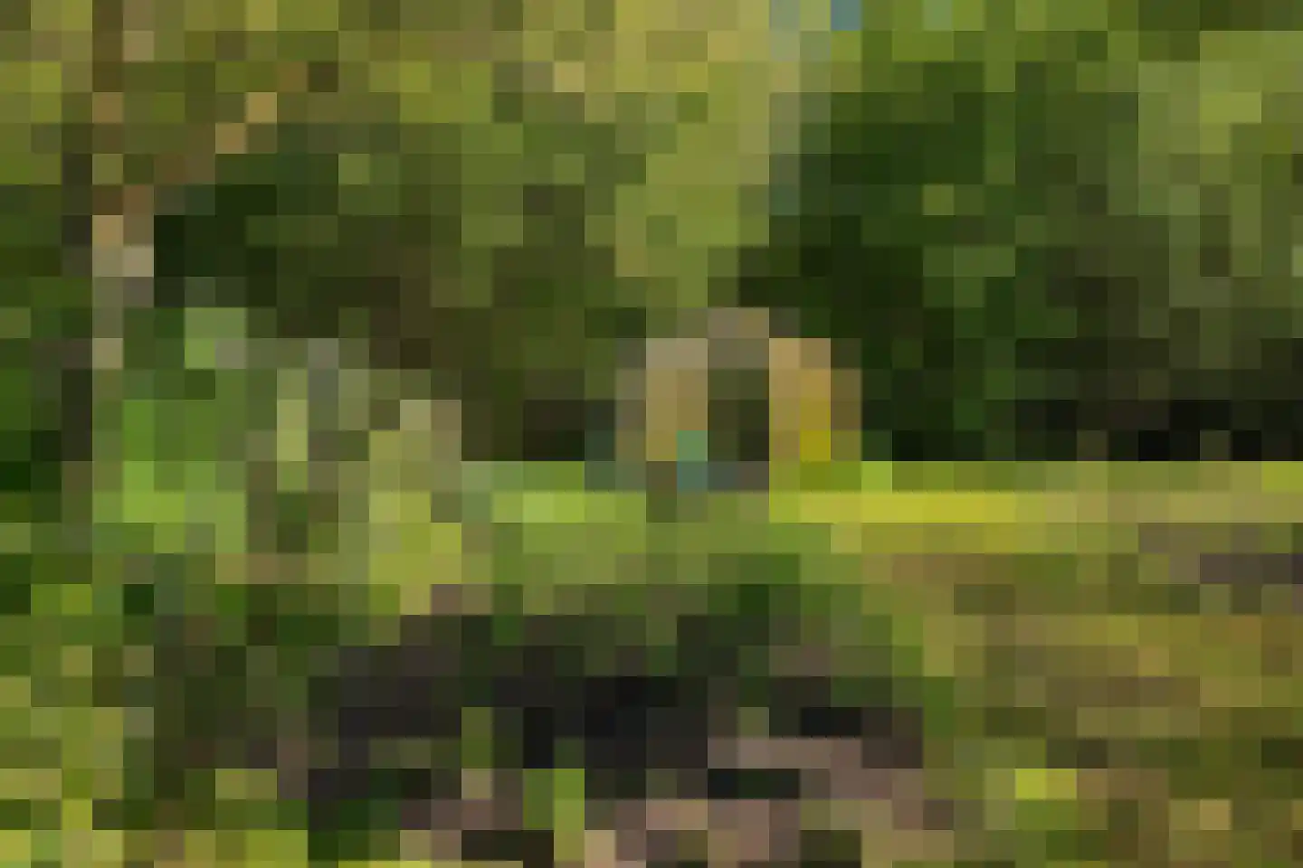 Duivendansweg 11 Wezep thumbnail 58