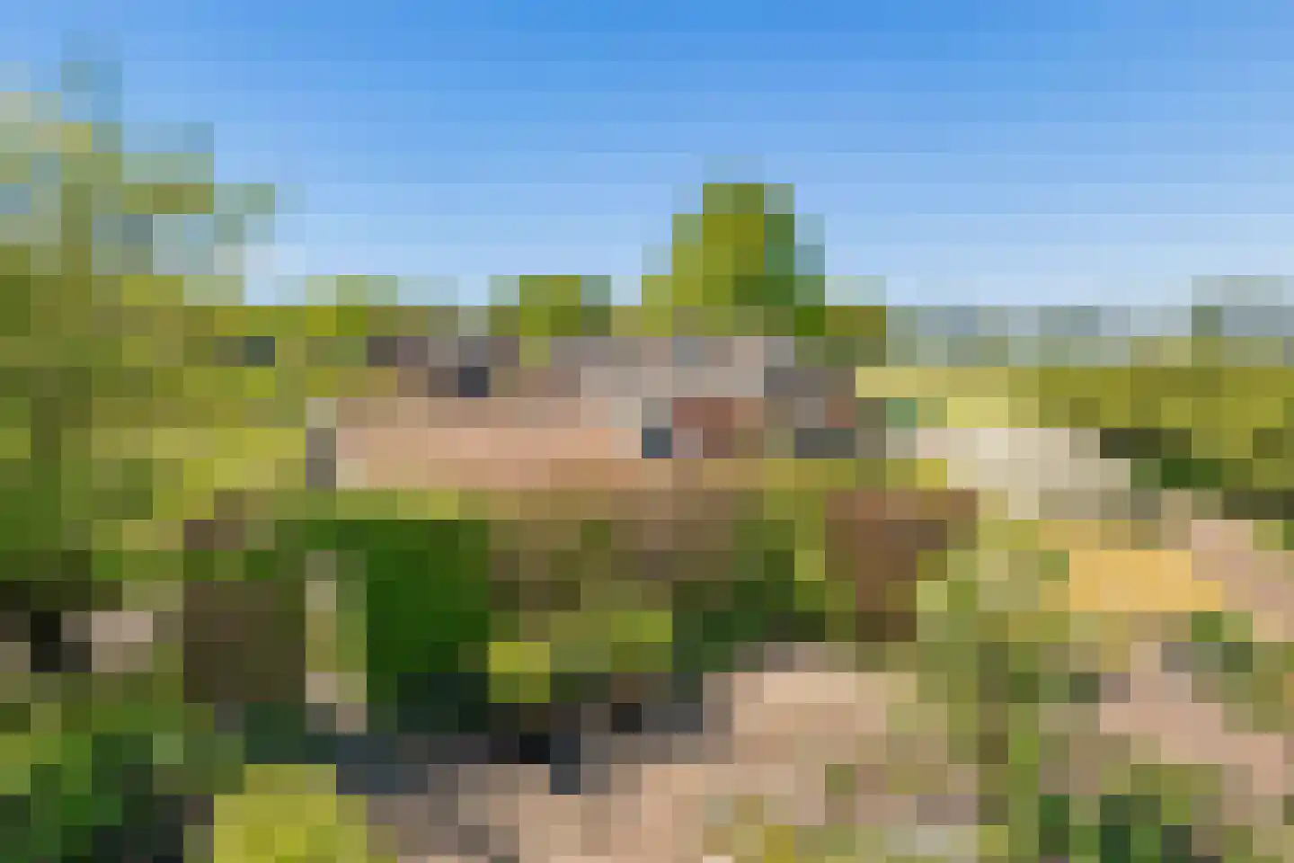 Duivendansweg 11 Wezep thumbnail 59