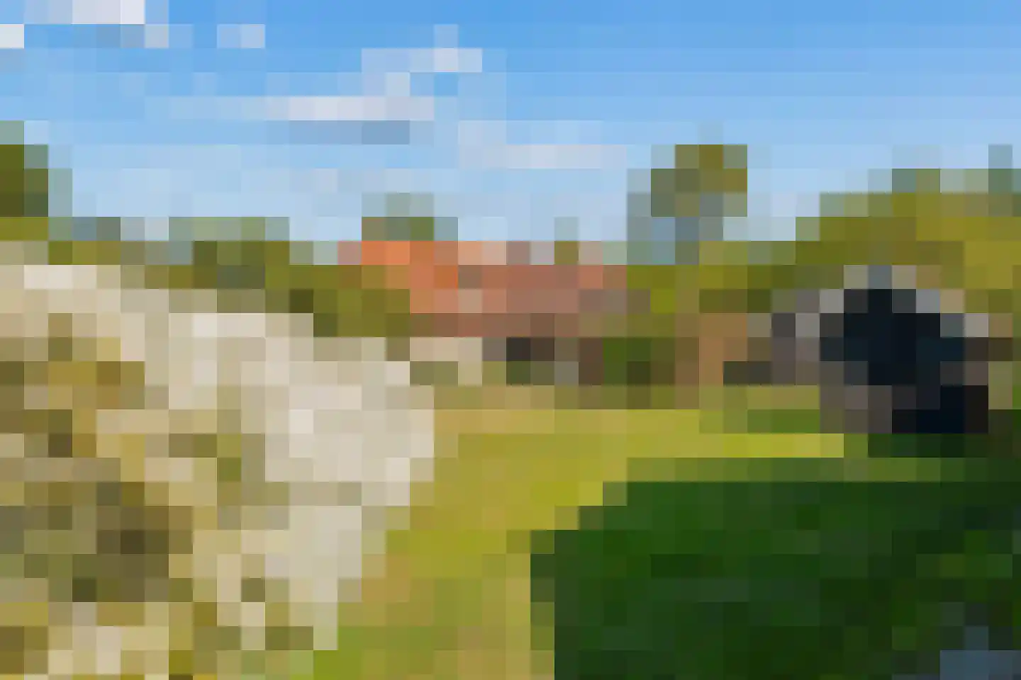 Duivendansweg 11 Wezep thumbnail 63