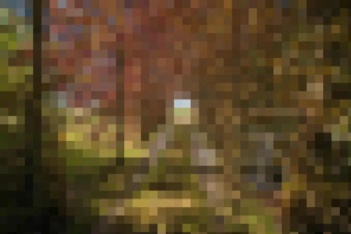 Duivendansweg 11 Wezep thumbnail 64