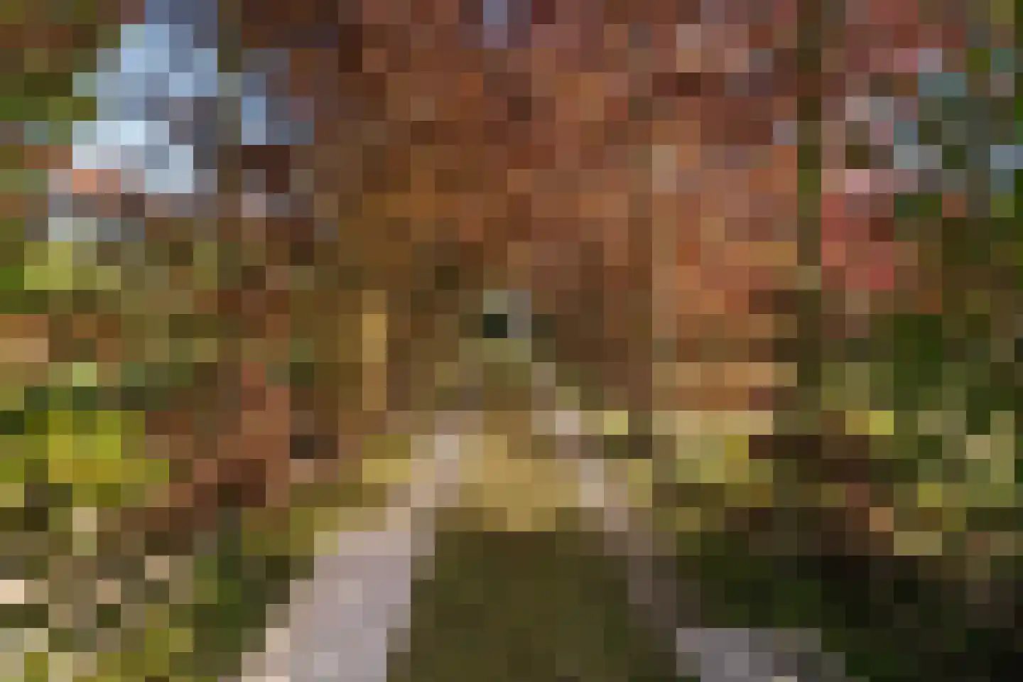 Duivendansweg 11 Wezep thumbnail 65