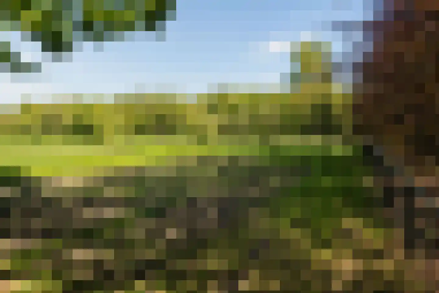 Duivendansweg 11 Wezep thumbnail 68