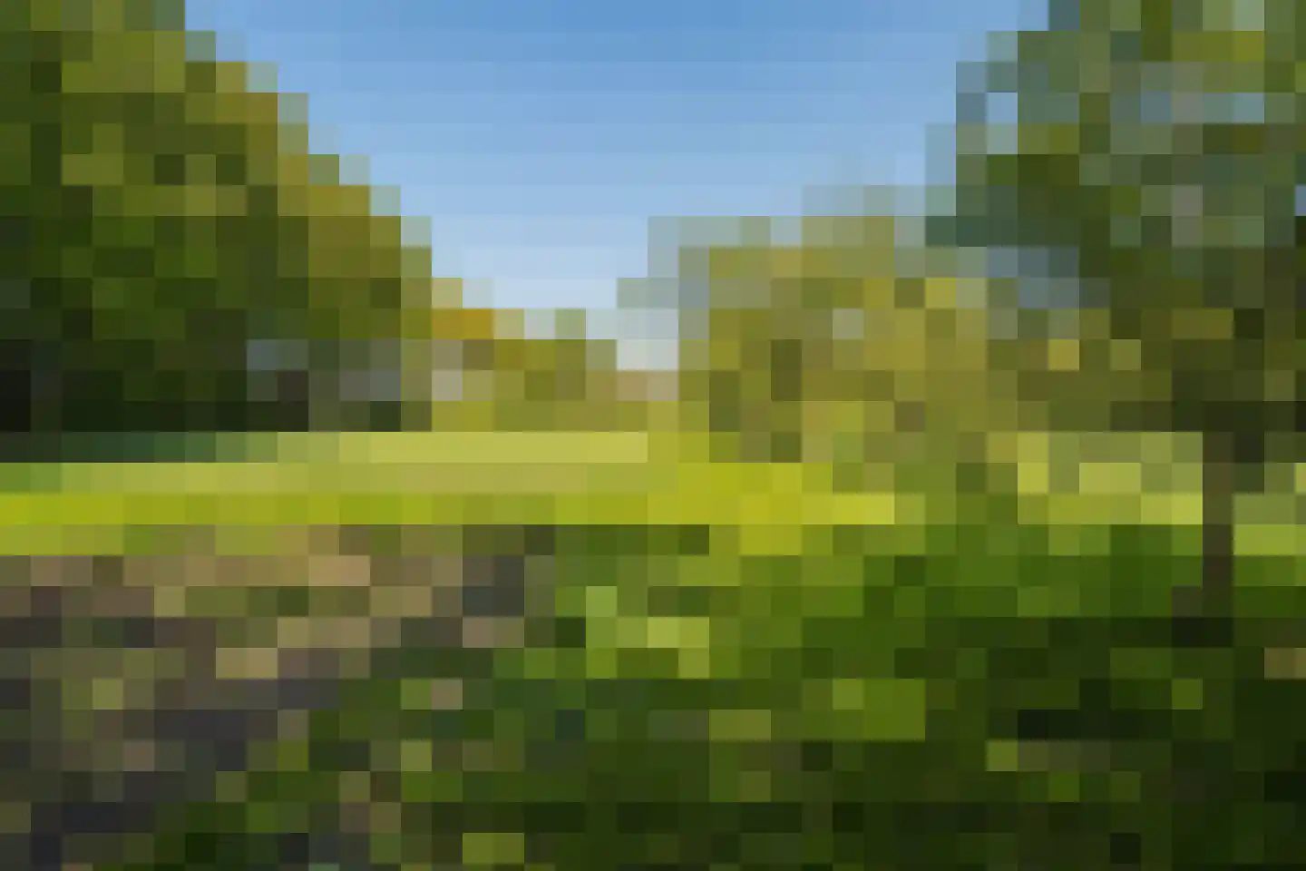 Duivendansweg 11 Wezep thumbnail 69