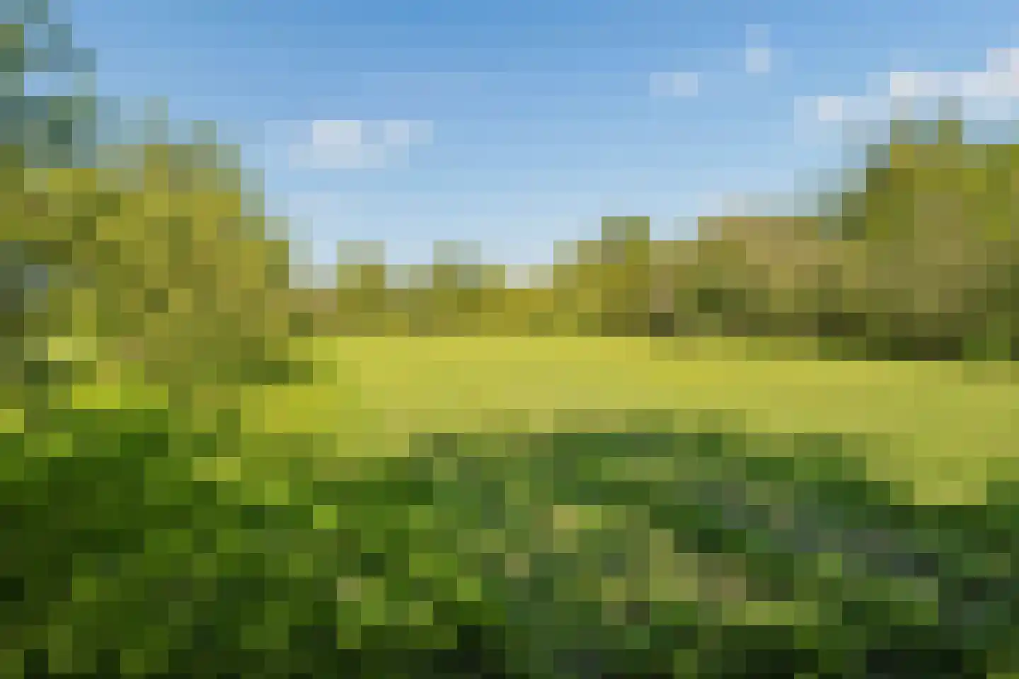Duivendansweg 11 Wezep thumbnail 70